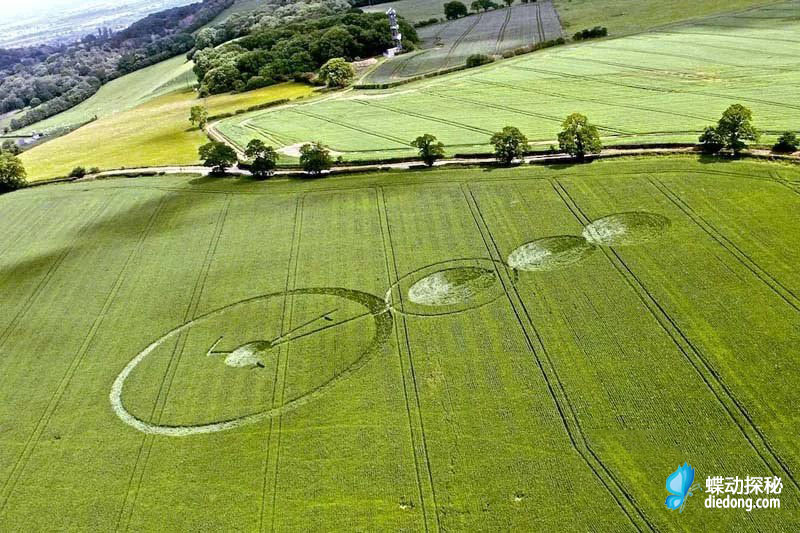 2012年6月17日英国什罗普郡Wenlock Wood麦田怪圈