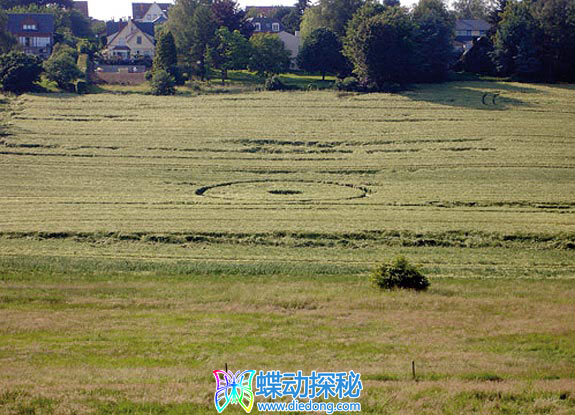 2006年6月24日比利时Genval Brabant麦田怪圈